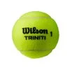 Wilson Triniti 4er Dose -Tennisausrüstungs Geschäft 0162000000 10